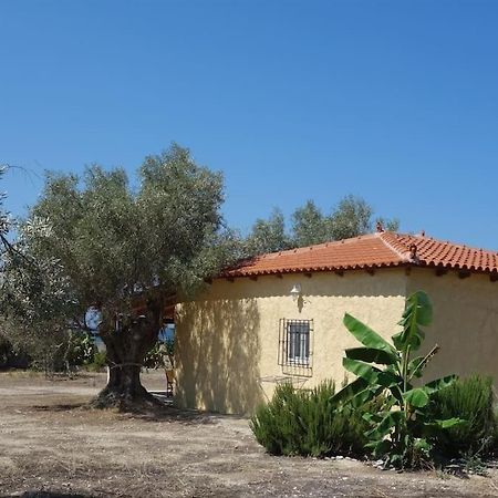 House By The Sea At Skaloma, Loutraki Villa Vouliagmeni Gölü Dış mekan fotoğraf